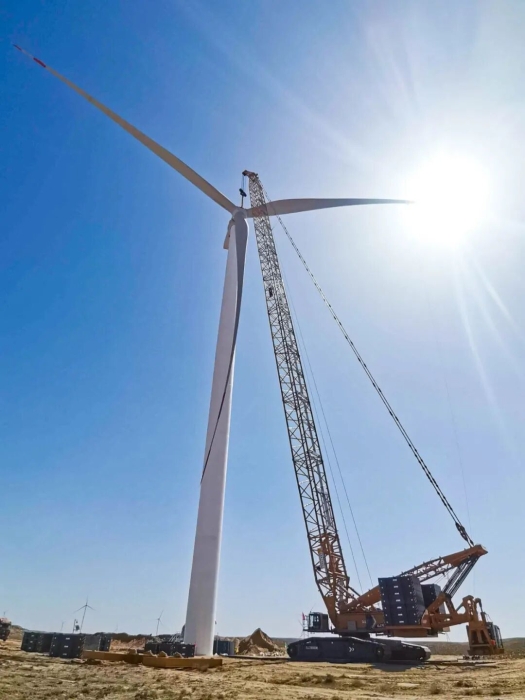 利来w66官网(中国区)_利来集团